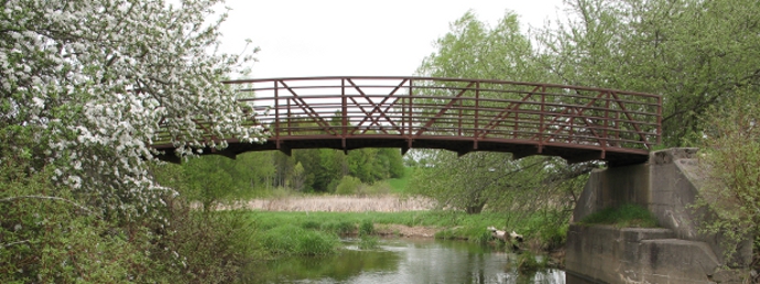 Trail bridge spanning Larch Creek near Elmira