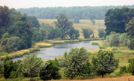 Vista of Conestogo River in spring green