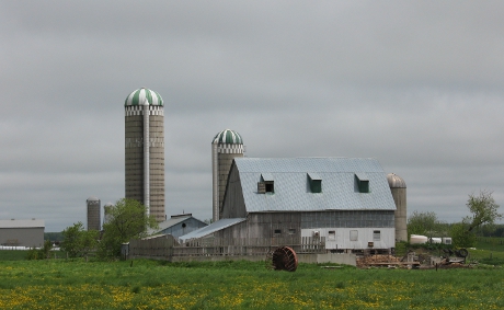 View of farm barn and silos
